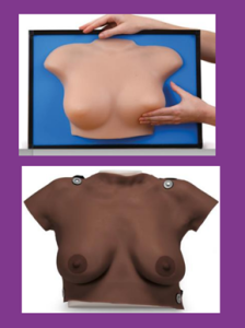 Images showing anatomical breast models for Breast Cancer screening and self-examination.