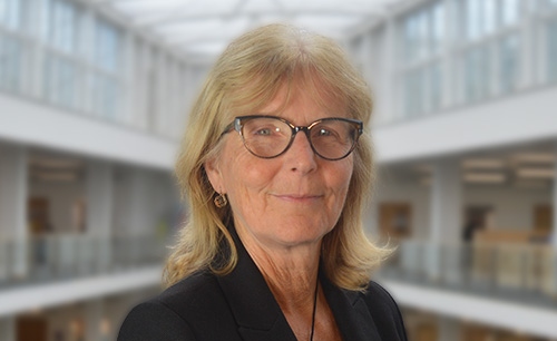 Mary Lewis